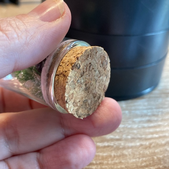 Miniature Diorama Panda in Glass Dome Cloche - Picture 11 of 12